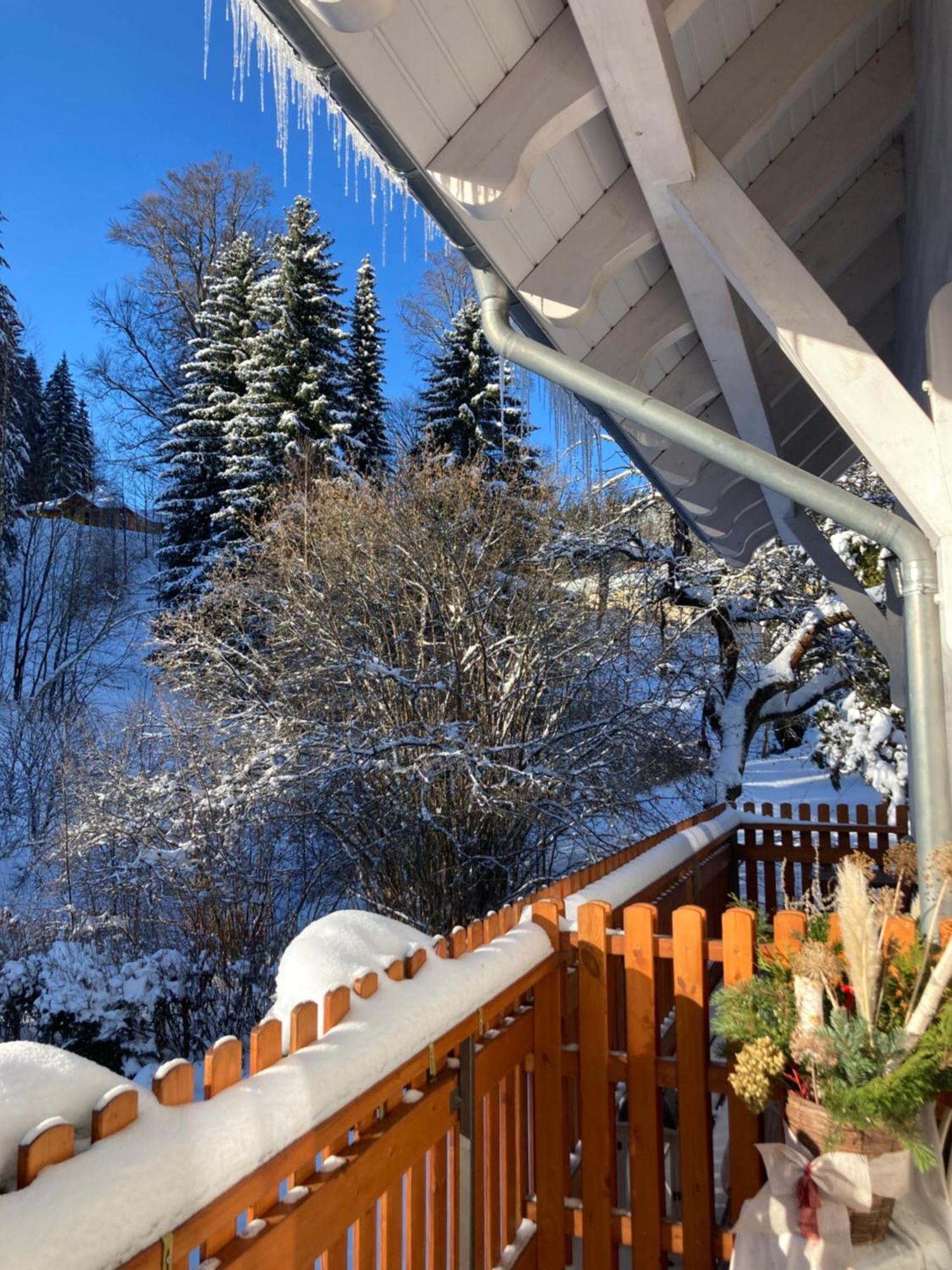 Villa Jana Janske Lazne Exterior foto